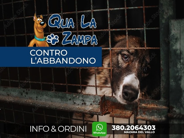 La nostra missione - Zona Giusta