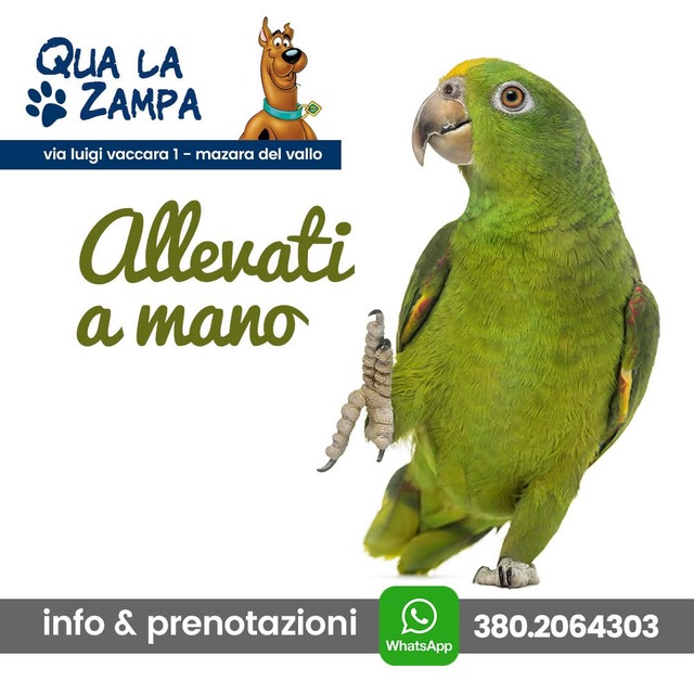 La nostra missione - Zona Giusta