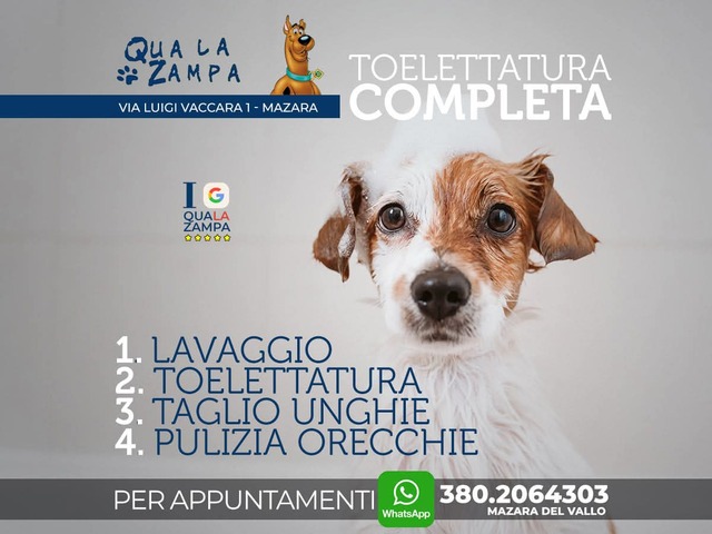 La nostra missione - Zona Giusta